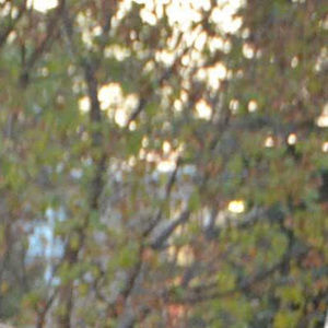 Meet your Posher, Evan